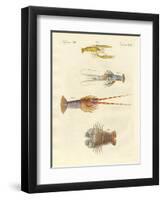 Strange Crabs-null-Framed Premium Giclee Print