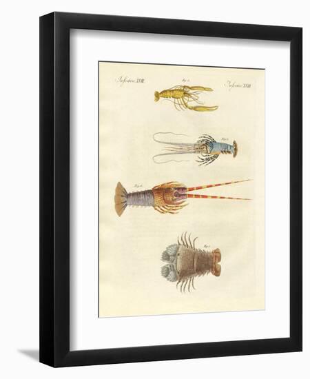 Strange Crabs-null-Framed Premium Giclee Print