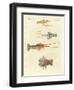 Strange Crabs-null-Framed Premium Giclee Print