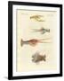 Strange Crabs-null-Framed Giclee Print