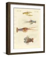 Strange Crabs-null-Framed Giclee Print