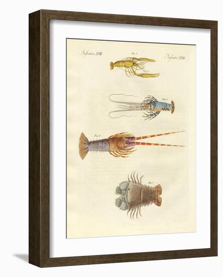 Strange Crabs-null-Framed Giclee Print