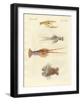 Strange Crabs-null-Framed Giclee Print