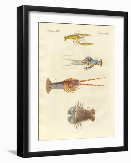 Strange Crabs-null-Framed Giclee Print