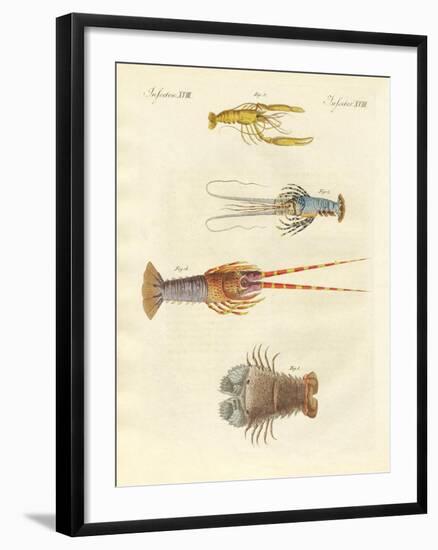 Strange Crabs-null-Framed Giclee Print