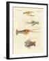 Strange Crabs-null-Framed Giclee Print