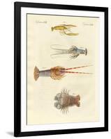 Strange Crabs-null-Framed Giclee Print