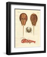 Strange Crabs-null-Framed Premium Giclee Print