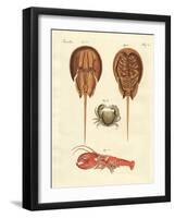 Strange Crabs-null-Framed Giclee Print