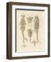 Strange Crustaceans-null-Framed Giclee Print