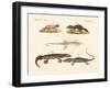 Strange Dinosaurs-null-Framed Giclee Print