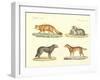 Strange Dogs and Foxes-null-Framed Giclee Print