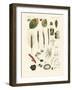 Strange Dusty and Thread Fungus-null-Framed Giclee Print