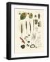Strange Dusty and Thread Fungus-null-Framed Giclee Print