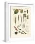 Strange Dusty and Thread Fungus-null-Framed Giclee Print