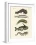 Strange Fish-null-Framed Giclee Print