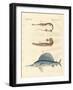 Strange Fish-null-Framed Giclee Print