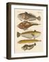 Strange Fish-null-Framed Giclee Print