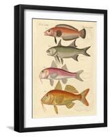 Strange Fish-null-Framed Giclee Print