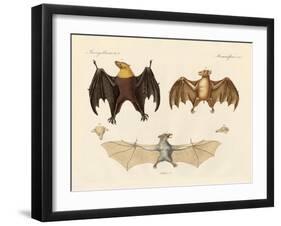 Strange Flap Animals-null-Framed Giclee Print