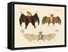 Strange Flap Animals-null-Framed Stretched Canvas