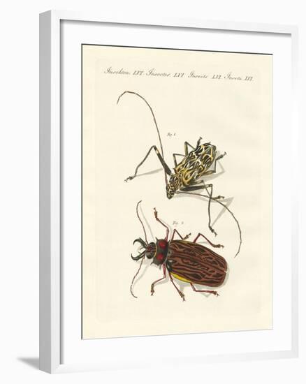 Strange Foreign Beetles-null-Framed Giclee Print