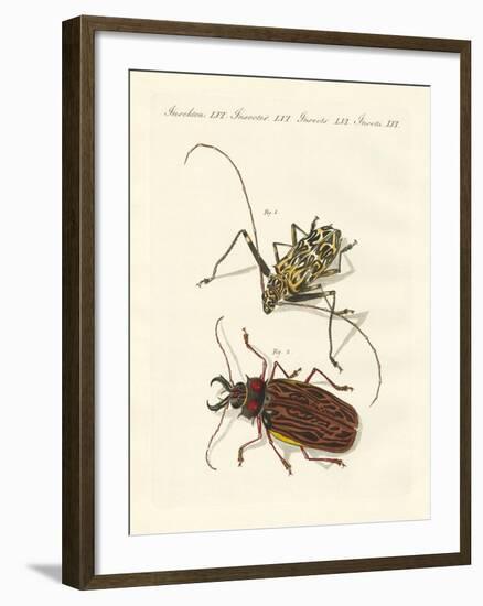 Strange Foreign Beetles-null-Framed Giclee Print