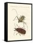 Strange Foreign Beetles-null-Framed Stretched Canvas