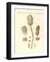 Strange Fossilizations-null-Framed Giclee Print