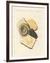 Strange Fossilizations-null-Framed Premium Giclee Print