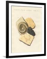 Strange Fossilizations-null-Framed Premium Giclee Print