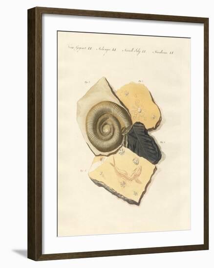 Strange Fossilizations-null-Framed Giclee Print