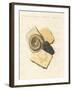 Strange Fossilizations-null-Framed Giclee Print