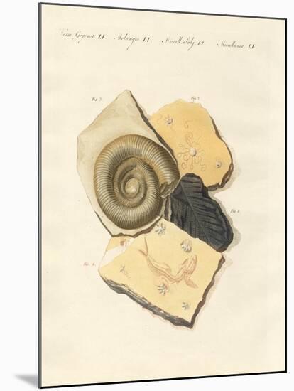 Strange Fossilizations-null-Mounted Giclee Print