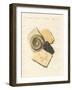 Strange Fossilizations-null-Framed Giclee Print