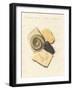 Strange Fossilizations-null-Framed Giclee Print