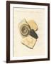 Strange Fossilizations-null-Framed Giclee Print