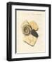 Strange Fossilizations-null-Framed Giclee Print