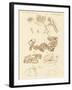 Strange Fossils of Four-Footed Animals-null-Framed Giclee Print