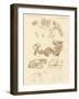 Strange Fossils of Four-Footed Animals-null-Framed Giclee Print
