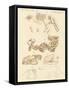 Strange Fossils of Four-Footed Animals-null-Framed Stretched Canvas