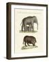 Strange Four-Footed Animals-null-Framed Giclee Print