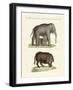 Strange Four-Footed Animals-null-Framed Giclee Print