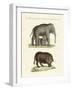 Strange Four-Footed Animals-null-Framed Giclee Print