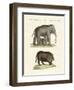 Strange Four-Footed Animals-null-Framed Premium Giclee Print