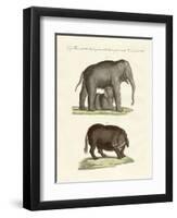 Strange Four-Footed Animals-null-Framed Premium Giclee Print