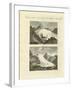 Strange Glaciers as the Birth of Large Rivers-null-Framed Giclee Print