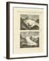 Strange Glaciers as the Birth of Large Rivers-null-Framed Giclee Print