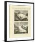 Strange Glaciers as the Birth of Large Rivers-null-Framed Giclee Print