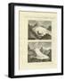 Strange Glaciers as the Birth of Large Rivers-null-Framed Giclee Print